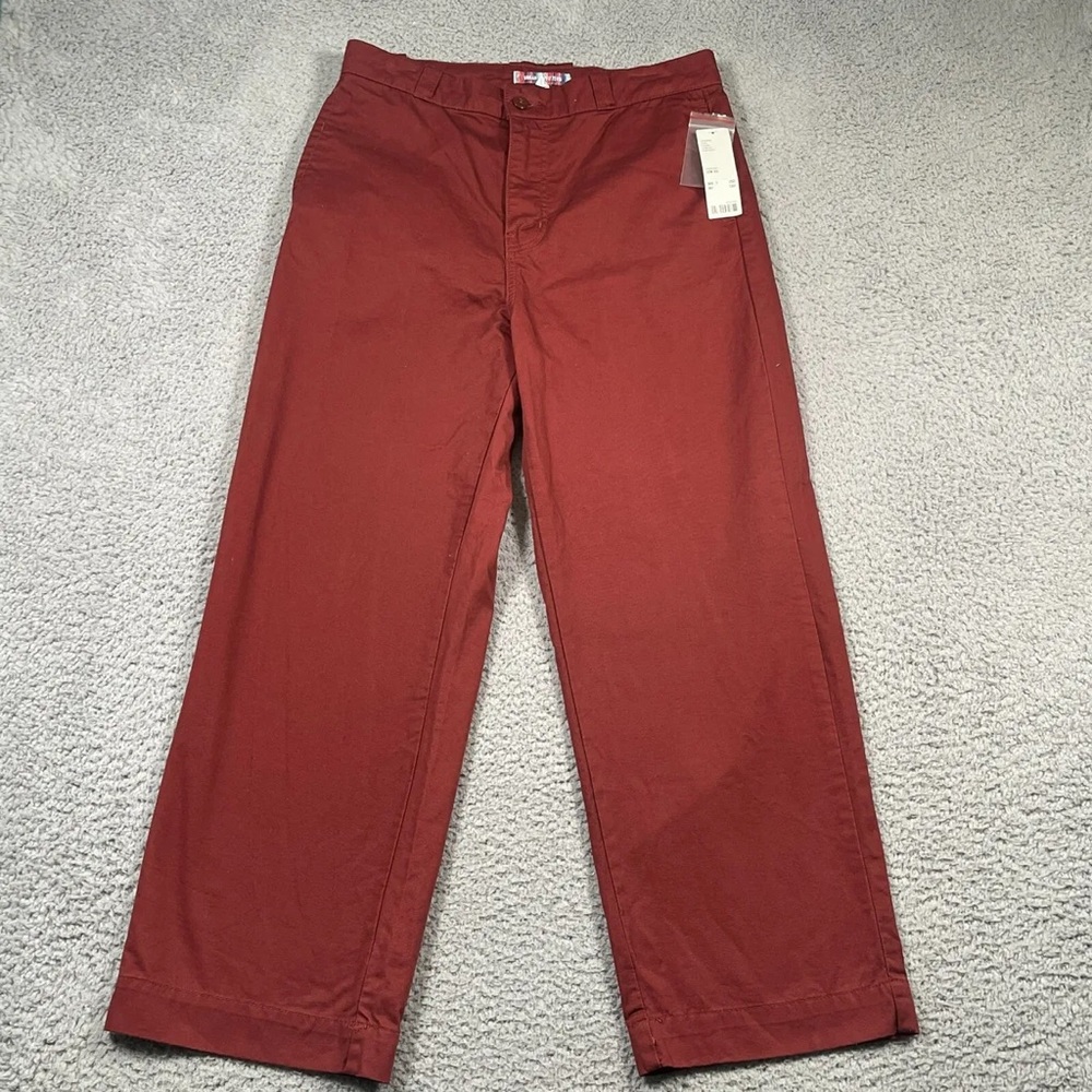 Urban Outfitters Wine Burgundy Red Wide Leg Carpenter Pants